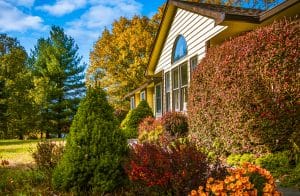 Midwestern house in late afternoon in autumn; blooming flowers and bushes in front yard; blue sky and trees with yellow leaves in background