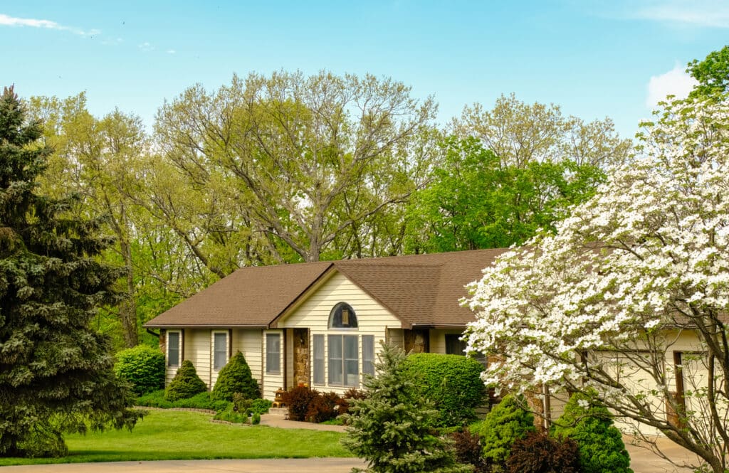View of typical Midwestern suburban house in springtime; blooming dogwood tree on right; large trees behind the house